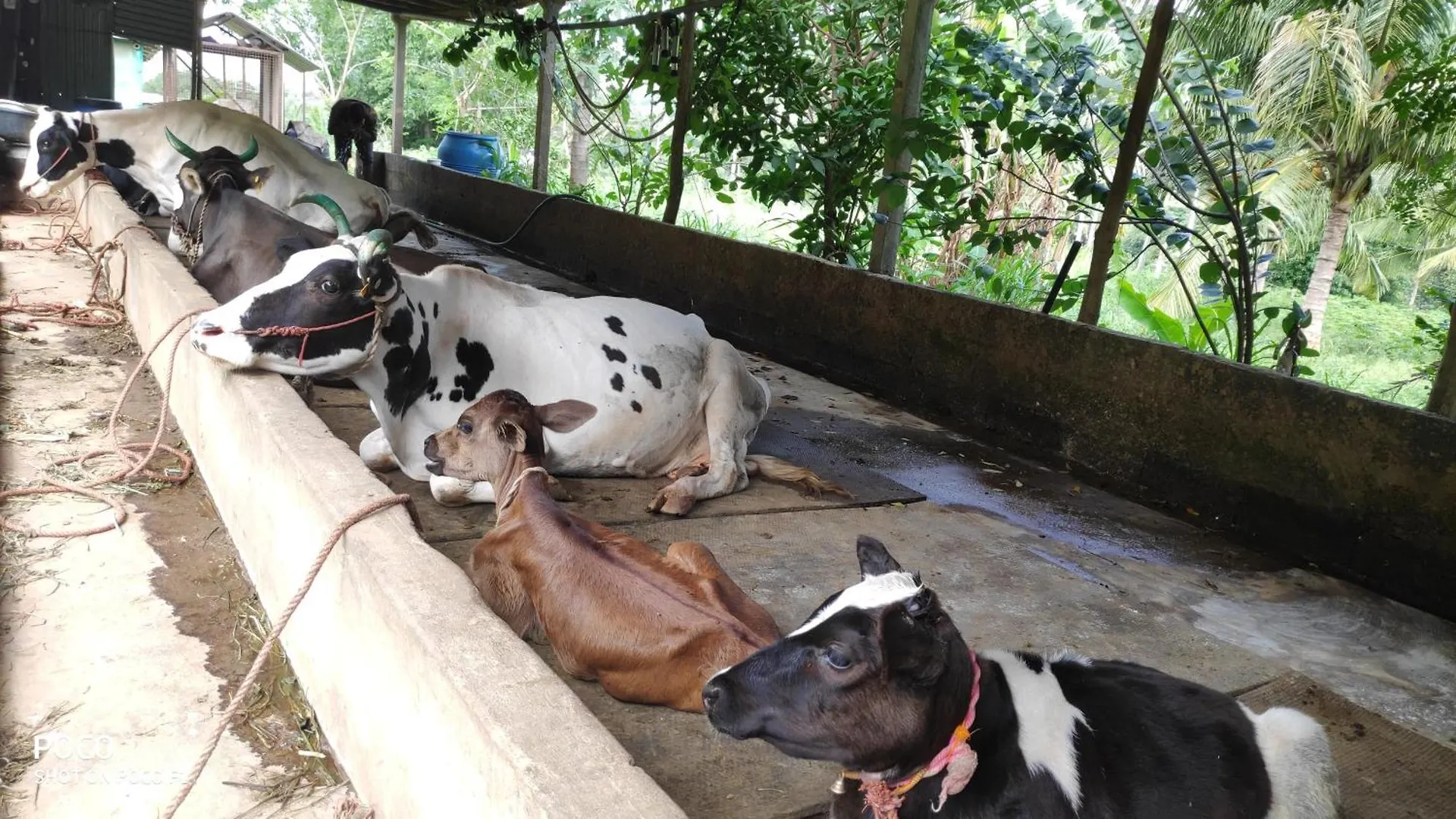 Midway Crest Farmstay Palakkad Indie